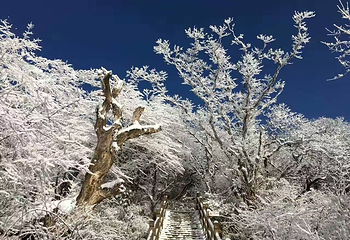 梵净山第 64 张图片
