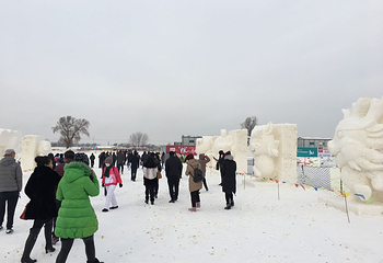 新民冰雪嘉年华第 5 张图片