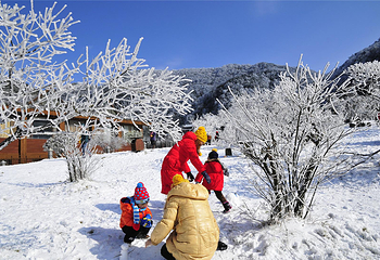 金佛山冰雪运动体验中心(牵牛坪)第 16 张图片