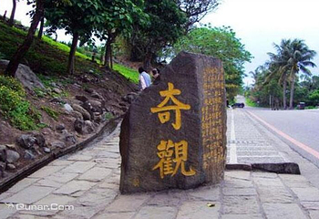 东海岸水往上流奇观第 1 张图片