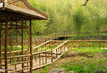 泉山云顶风景区第 29 张图片