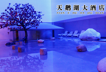 天鹅湖大酒店第 10 张图片