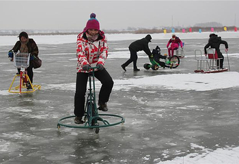 金河湾湿地冰雪梦幻乐园第 2 张图片