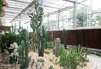 花卉园艺展示馆第 6 张图片