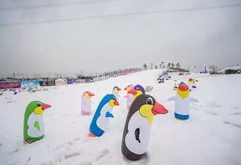 企鹅冰雪岛第 1 张图片