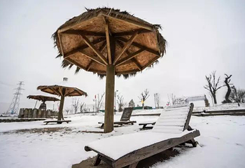 企鹅冰雪岛第 5 张图片