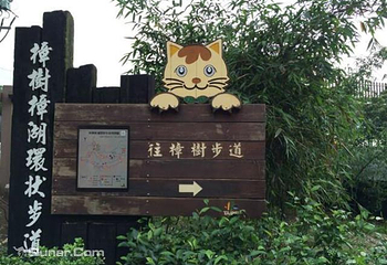 猫空第 2 张图片