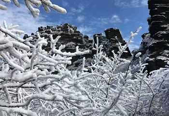 梵净山第 40 张图片
