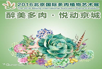 北京国际多肉植物艺术展第 1 张图片