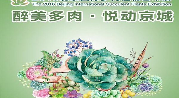北京国际多肉植物艺术展