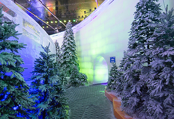 侏罗纪冰雪乐园(横岗店)第 14 张图片