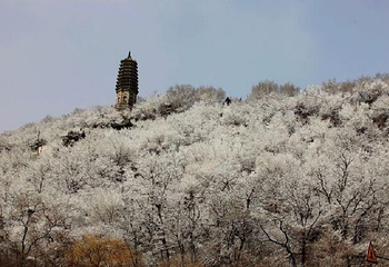 高尔山冰雪大世界第 2 张图片