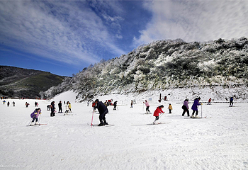 金佛山冰雪运动体验中心(牵牛坪)第 10 张图片