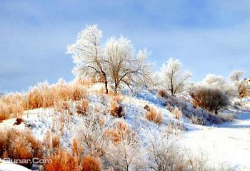 亚雪驿站十里画廊第 3 张图片