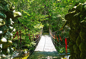 云雾山风景区第 7 张图片