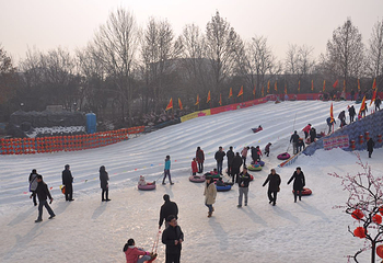 泉城欢乐冰雪节第 5 张图片
