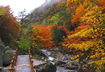 云雾山风景区第 6 张图片