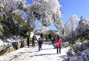 金佛山冰雪运动体验中心(牵牛坪)第 5 张图片