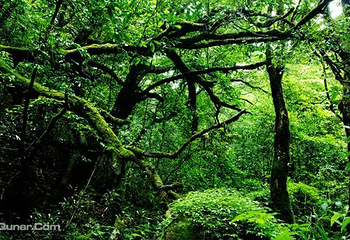 三分石景区第 30 张图片