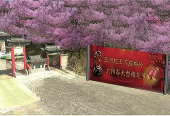 梅岭太阳谷大型梅花文化节第 14 张图片