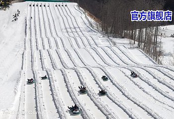 何家沟魔幻雪世界第 3 张图片
