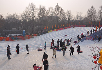 泉城欢乐冰雪节第 3 张图片