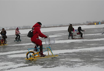 金河湾湿地冰雪梦幻乐园第 1 张图片
