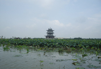 华阳湖国家湿地公园第 40 张图片