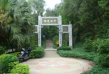 南国桃园第 16 张图片