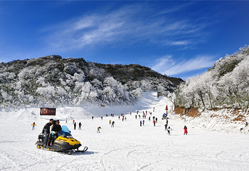 金佛山冰雪运动体验中心(牵牛坪)第 9 张图片