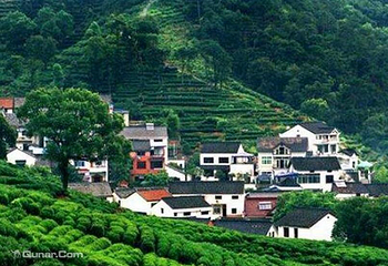 梅家坞茶文化村第 1 张图片