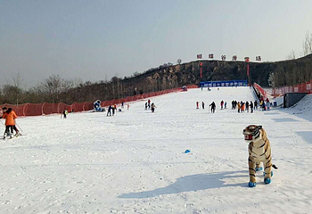 蝴蝶谷滑雪场第 6 张图片
