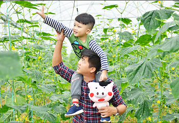 猪哈哈的农场第 26 张图片