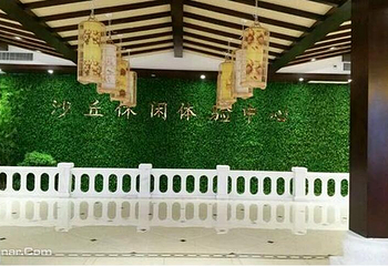 广宗沙丘休闲运动中心滑雪场第 1 张图片