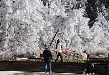 茅草坝滑雪场第 4 张图片