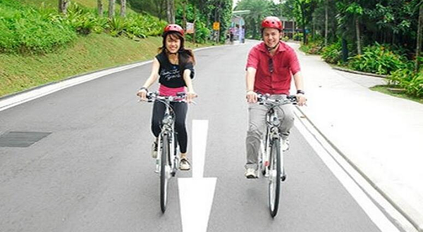 新加坡圣淘沙Gogreen Bicycle Rental自行车租赁