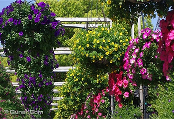 花香田园第 3 张图片