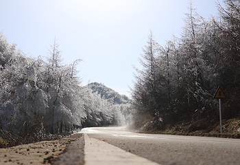 茅草坝滑雪场第 6 张图片