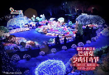温江大庙会第 27 张图片