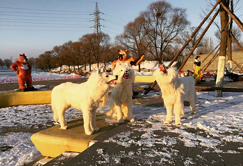 棋盘山美资纳冰雪乐园第 5 张图片