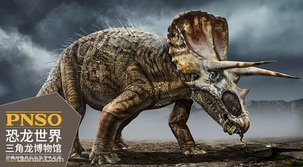 PNSO恐龙世界三角龙博物馆