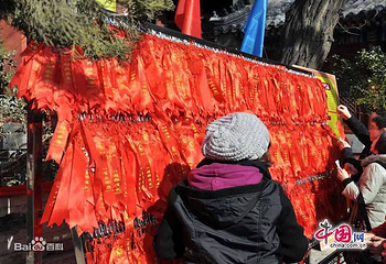 曹州文化大庙会第 2 张图片