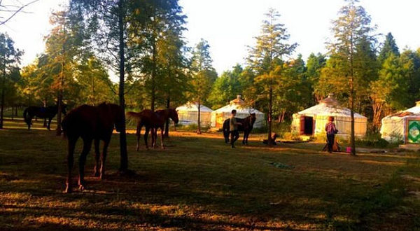 上海丹尼尔海湾马术俱乐部
