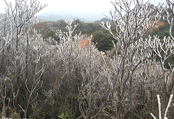 平安山生态旅游风景区第 24 张图片
