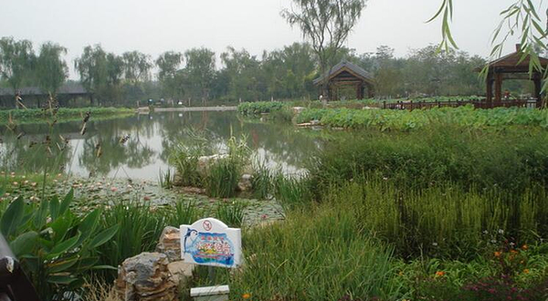 津北森林嘉年华