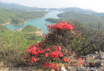 平安山生态旅游风景区第 44 张图片