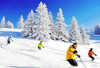 徐州泉山森林公园滑雪场第 1 张图片