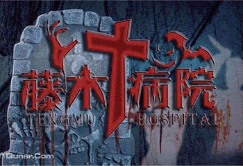 藤木病院（芜湖站）第 3 张图片