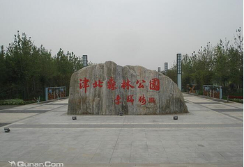 津北森林嘉年华第 2 张图片