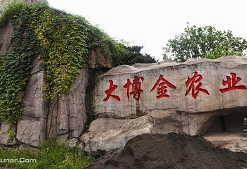 大博金一乐园第 8 张图片